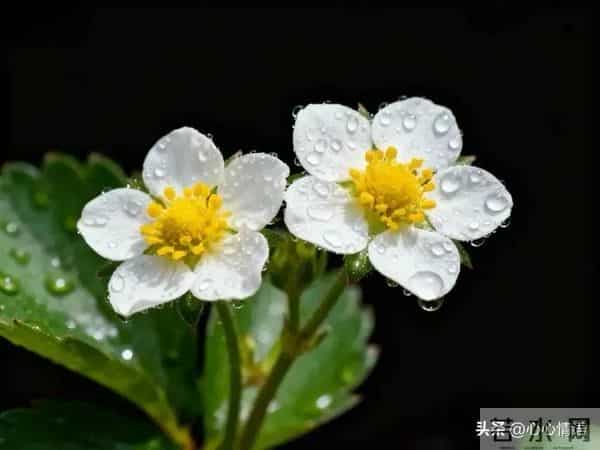 过了60岁才明白：女人找老伴，图的不是钱，不是人，而是一扇门