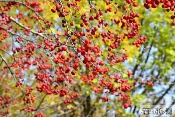 别划走!今天你的"福报”正在派送,请务必查收!