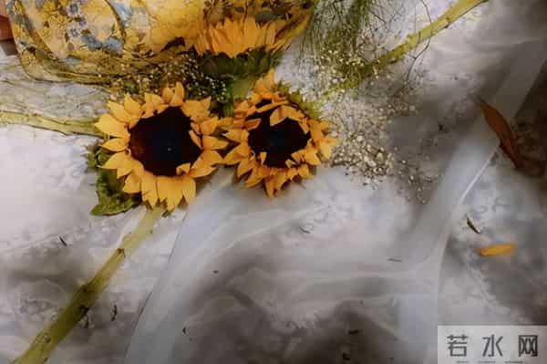 两个人谈恋爱最好的状态，是这样子