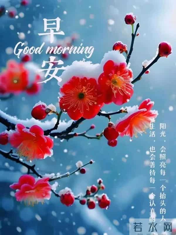 11月24日早上好 早上好问候图片最新今天 早安你好