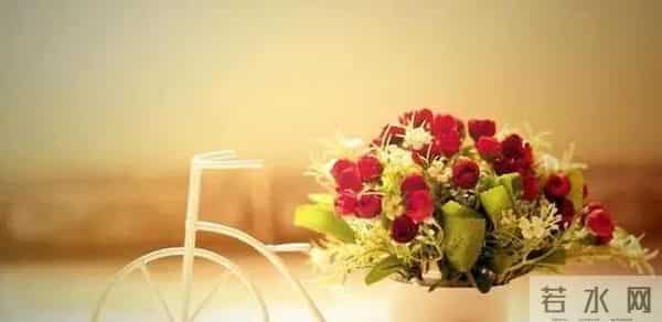 告诉你一个残忍的人际关系:你和任何人的关系,并非对别人有多好