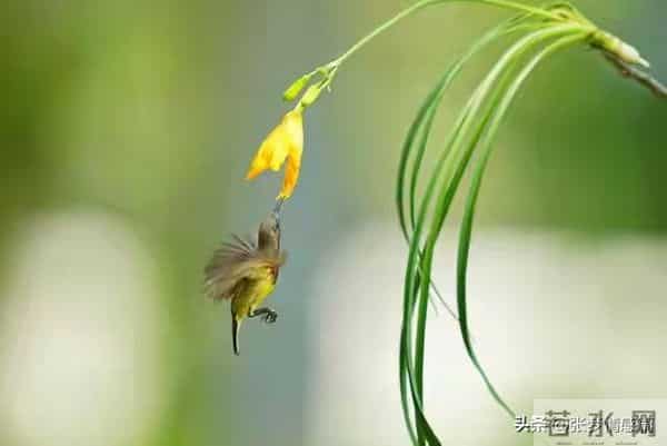 两性关系:63岁的我搭伙三次才知道,女人过了60岁找老伴太难了