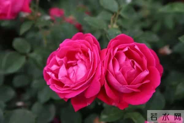 男人和你在一起,有以下三种行为,说明你在他心里不重要