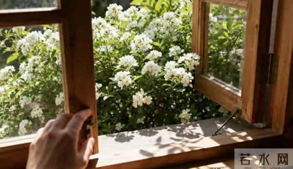 心若向阳,日子自亮:低成本富养心态,把平凡过成诗