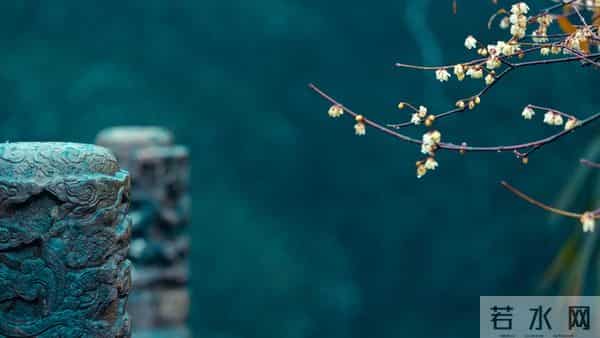 属猪人：11月需要敬而远之的3个人，看看你身边有吗？