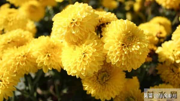 最舒服的两性关系：不是夫妻，却胜似夫妻