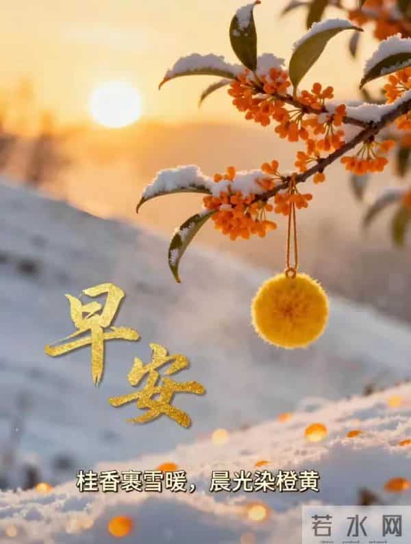 11月24日早安祝福：相约美好，不负时光，保重身体