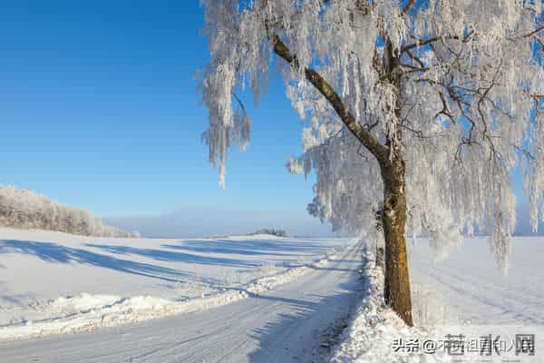 散文：我期盼着在冬天下雪的时候与你相遇