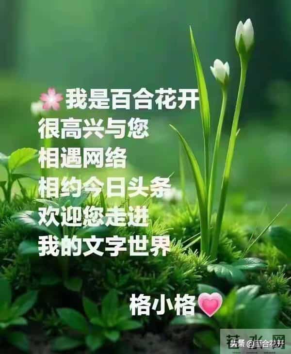 幸福心理学 与情绪温柔相拥——读懂双相情感障碍，找回内心的平衡