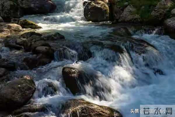 两性关系，惊人发现，60岁与异性靠近，根本不是桃花运，而是这个