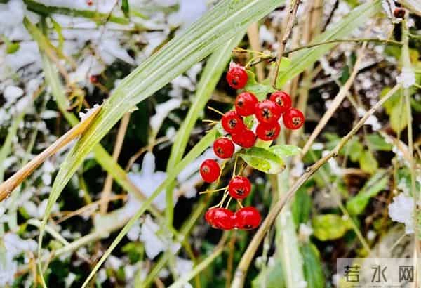 属猪人：11月需要敬而远之的3个人，看看你身边有吗？