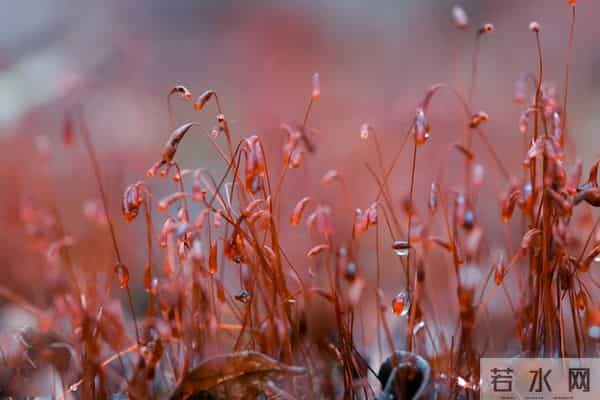 遇见你,邂逅爱,情深成痴,痴念成瘾