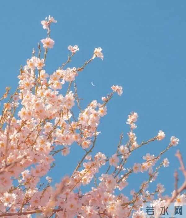 婚姻还是原配好,为何老年人说宁愿嫁娶离异的,也不嫁娶丧偶的?