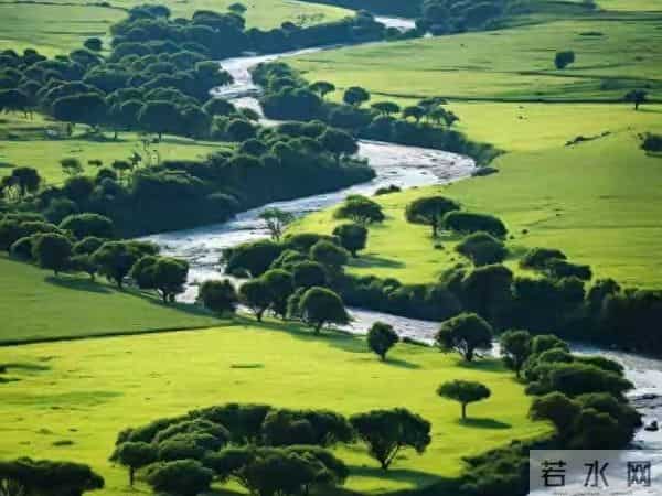 散文，在时间的沙谟里，你是唯一的绿洲