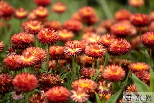 越是成熟的男人，越容易爱上“中年女人”：原因只有一个，很准