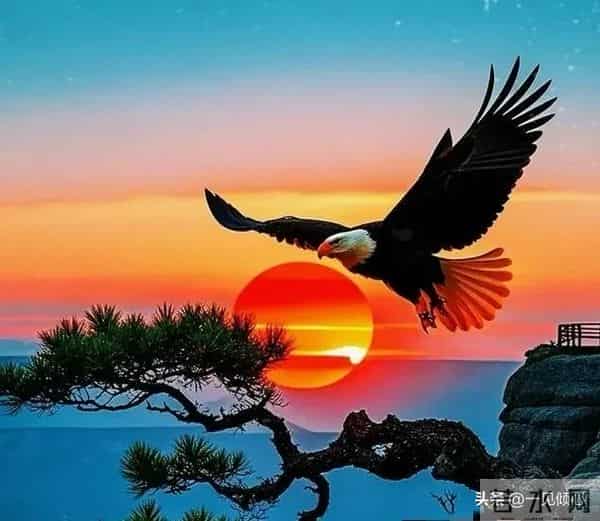 人生十不争，做到你就成功了。