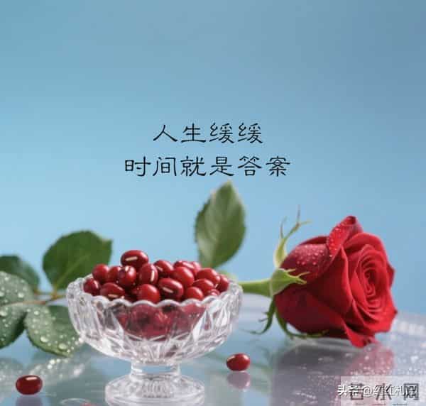 繁华满地，流年如诗不如你。