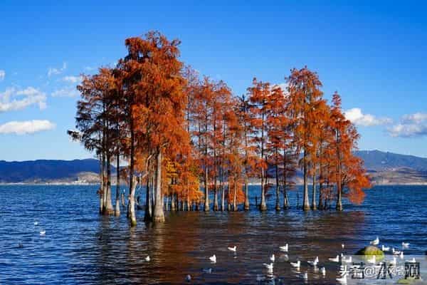 60岁走过半生,终于体会普通人活着意义,就五件,大家怎么看呢?