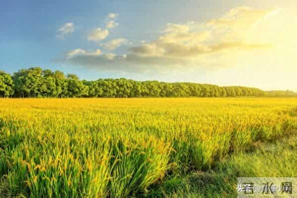 世界上最没用的是两件事：第一件是生气，第二件是这个