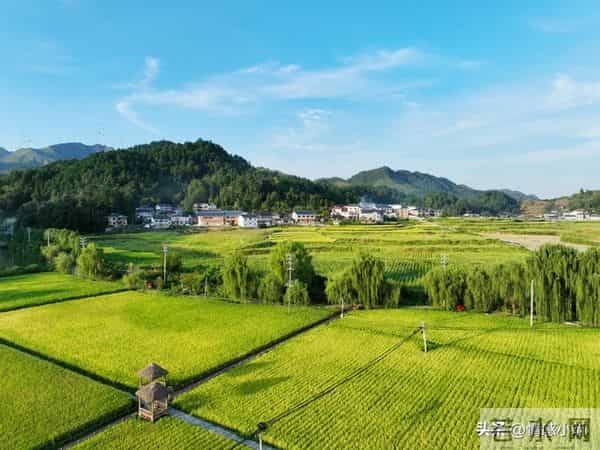 世界上最没用的是两件事：第一件是生气，第二件是这个