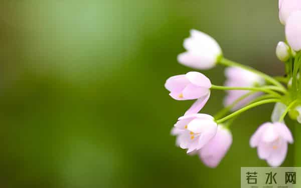 "聪明人，从不社交"，真正通透的人，早已退出了人脉的竞技场。