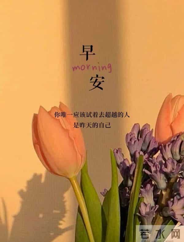 早安·花与吉愿皆可期
