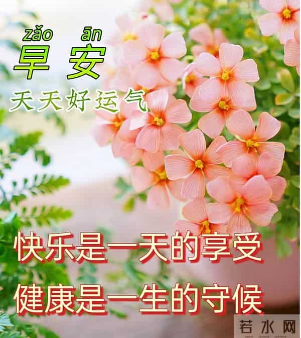 19句清晨暖心祝福，时光清浅，安康常伴，愿你日日欢颜喜乐无忧