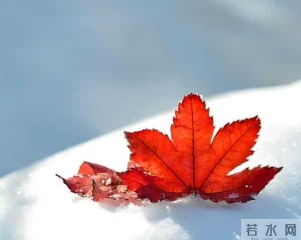 散文：初冬的寒意，最易勾起故土的思念