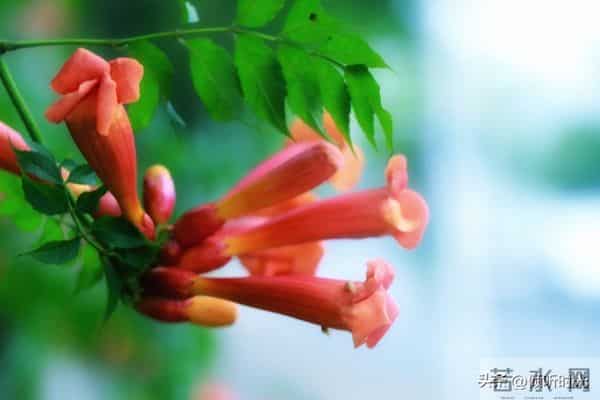 两性关系，惊人发现，60岁与异性靠近，根本不是桃花运，而是这