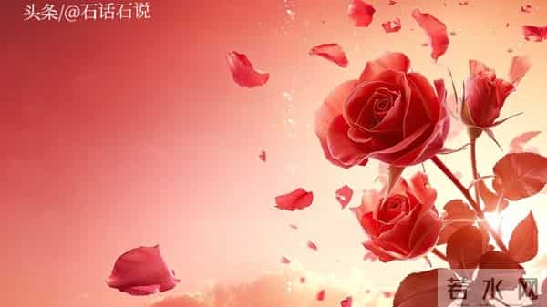 做亲家之前,撕破脸皮也要问清对方3件事,这不叫势力,是真聪明