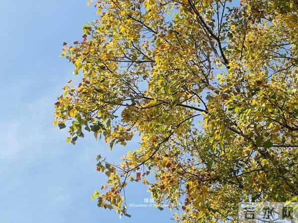 父母走后,兄弟姐妹关系再好,也要隐瞒这3件事,别不在意!