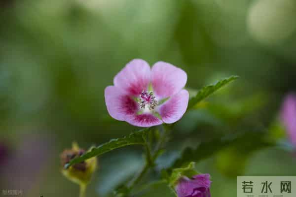 男女关系里，你撤退得越快，你的价值越高