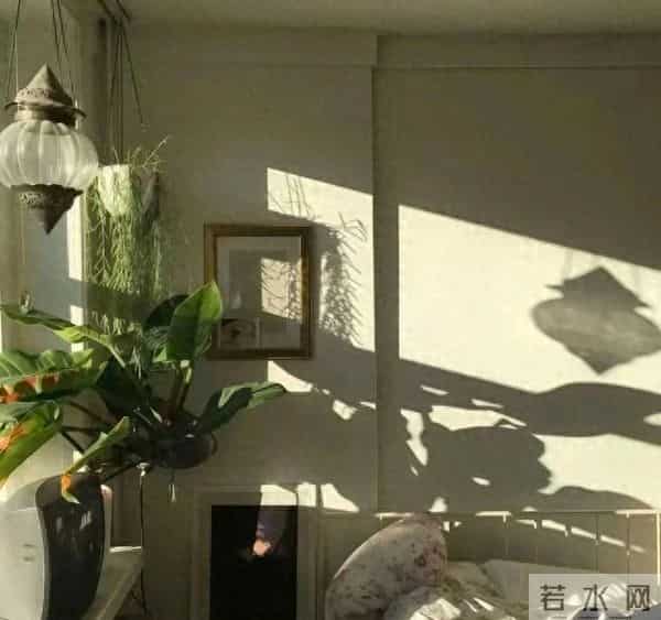 永不低头的“铁娘子”三大星座女