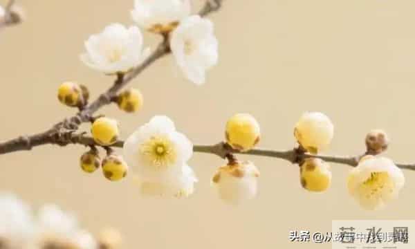 总有一个人，是你命中注定的情劫