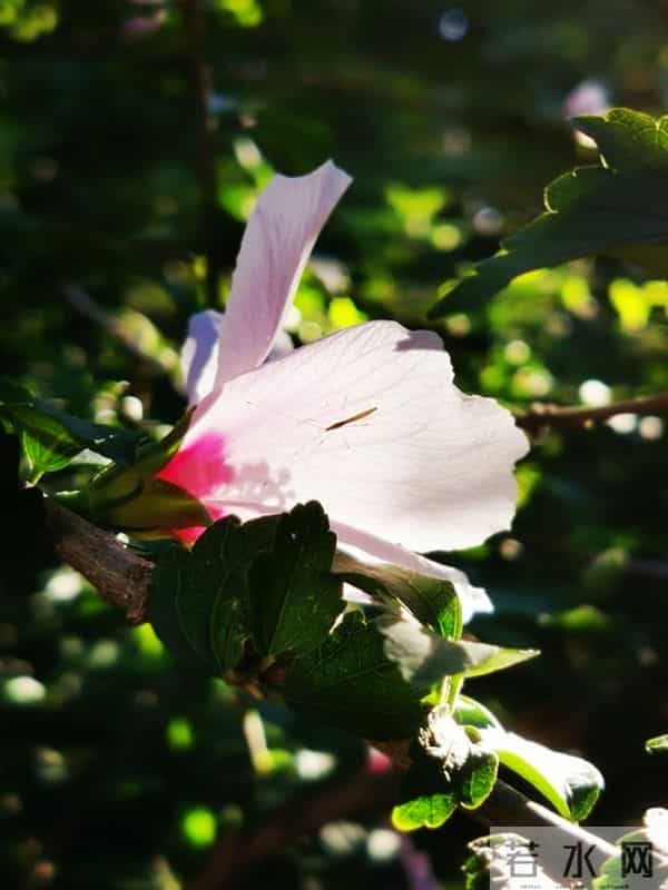 退休后最高级的活法