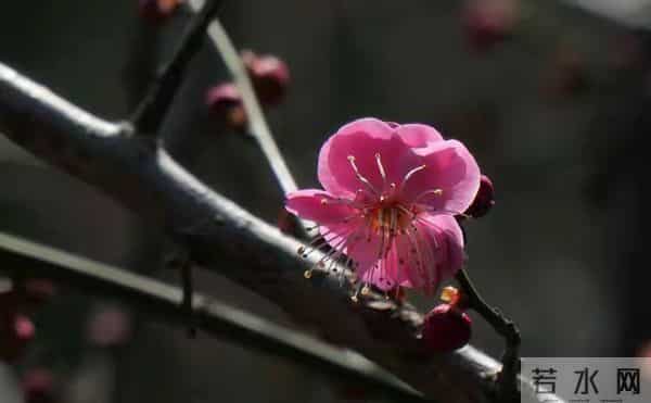 不要欺负善良人,善良人不会报复,但老天会替善良人清算报复