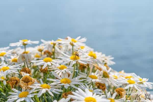 爱你，宛如初见，想你，梦绕魂牵