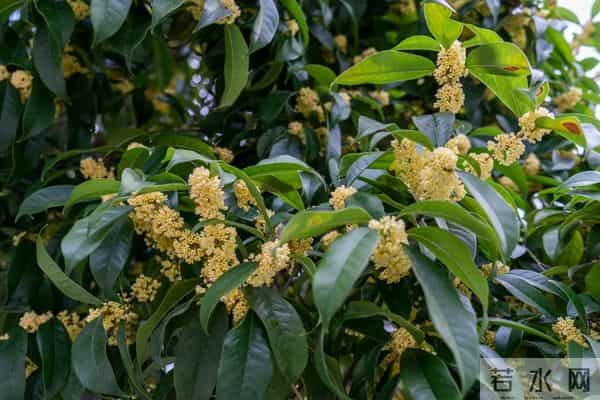 女人被吃定后，明显的变化：主动