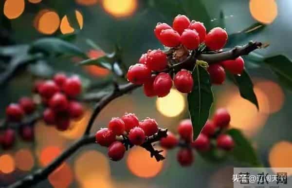 别划走!今天你的"福报”正在派送,请务必查收!