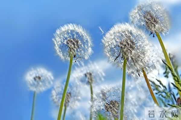 真正毁掉一个家庭的,不是妻子太强势,而是丈夫太“老实”