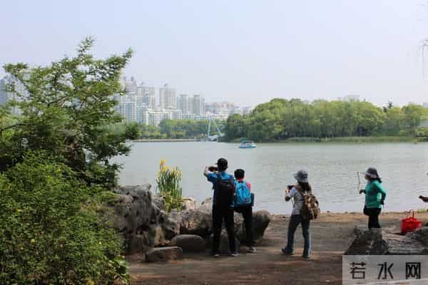 退休后最高级的活法