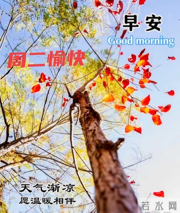 2025年11月25日早上好 早上好温馨问候祝福语 早安精美图片 周二愉快