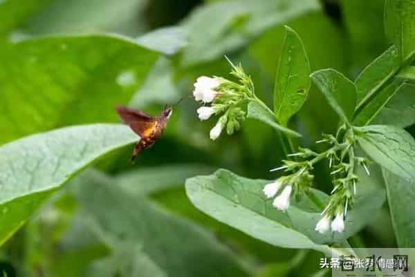 两性关系:63岁的我搭伙三次才知道,女人过了60岁找老伴太难了