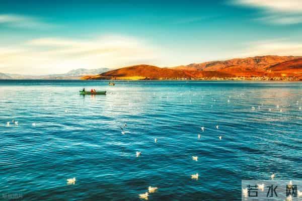 真正有价值的东西，从不在市场上流通