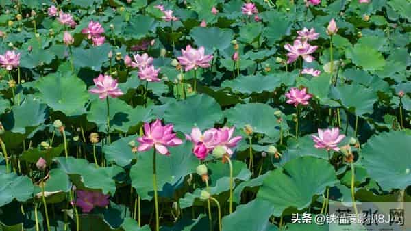 两性关系：女人过了五十五，永远不要在老公面前，做这6件事！