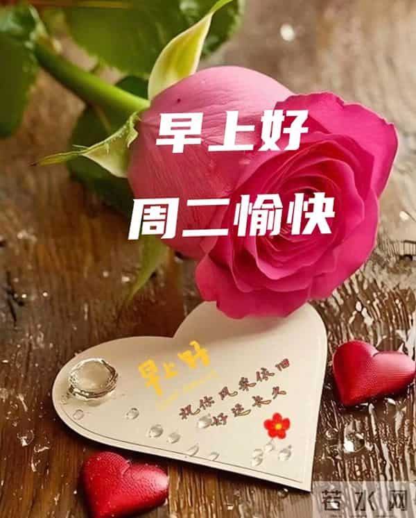 2025年11月25日早上好 早上好温馨问候祝福语 早安精美图片 周二愉快