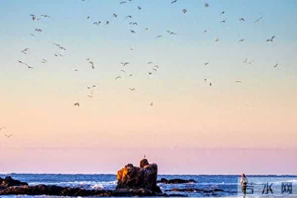 城府很深的人，手段真的很可怕，一定得小心！