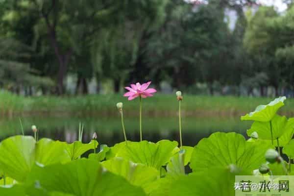 所有情人关系,都会走向2个结局