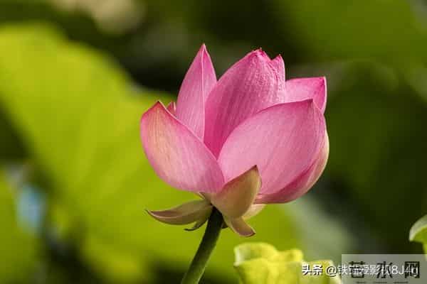 两性关系：女人过了五十五，永远不要在老公面前，做这6件事！