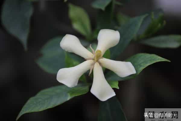 两性关系，惊人发现，60岁与异性靠近，根本不是桃花运，而是这